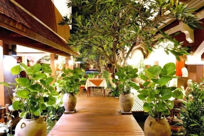 THE TOP PATONG RESORT. – Foto 9